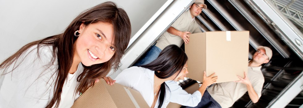 Professional Removalists Augusta